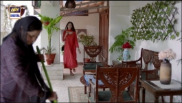 Teri Rah Mein - Episode 17 - 19th January 2022